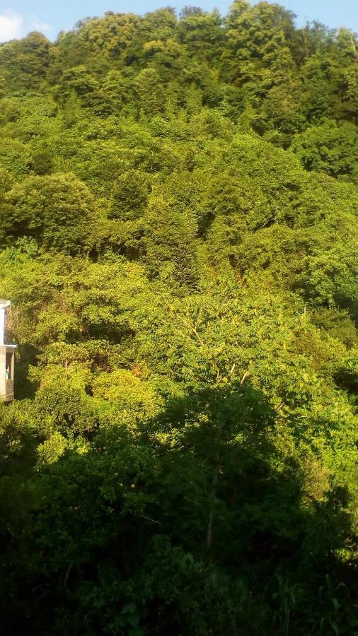 Guest House Marineza Gonio Bagian luar foto